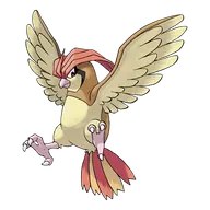 Pidgeotto