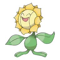 Sunflora