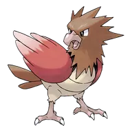 Spearow