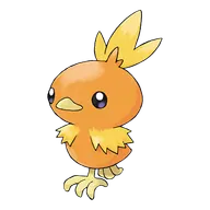 Torchic