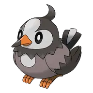 Starly