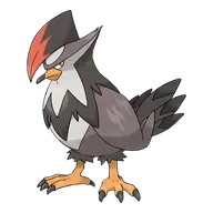Staraptor