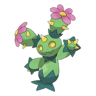 Maractus