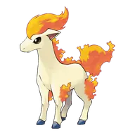 Ponyta