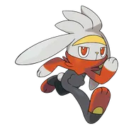 Raboot