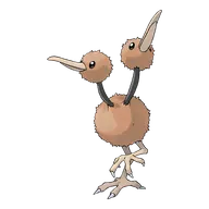 Doduo