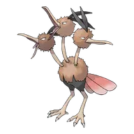 Dodrio