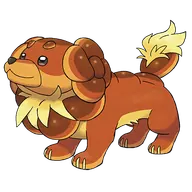 Dachsbun